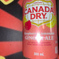 Canada Dry Raspberry Lemonade Ginger Ale Soda Soft Drink (Canada) 12oz Can Sweet Drink - Exotic Spot 99