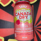 Canada Dry Raspberry Lemonade Ginger Ale Soda Soft Drink (Canada) 12oz Can Sweet Drink - Exotic Spot 99